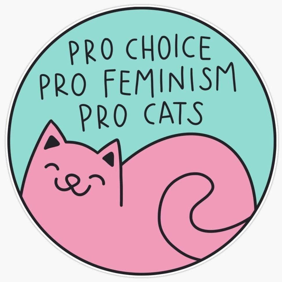 USSZ Pro Choice Pro Feminism Pro Cats מדבקה מדבקות ויניל פגוש מדבקה מדבקה אטומה למים למחשב נייד | מכונית | ואן